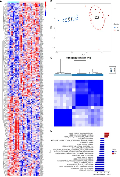 Frontiers | CAP2 contributes to Parkinson's disease