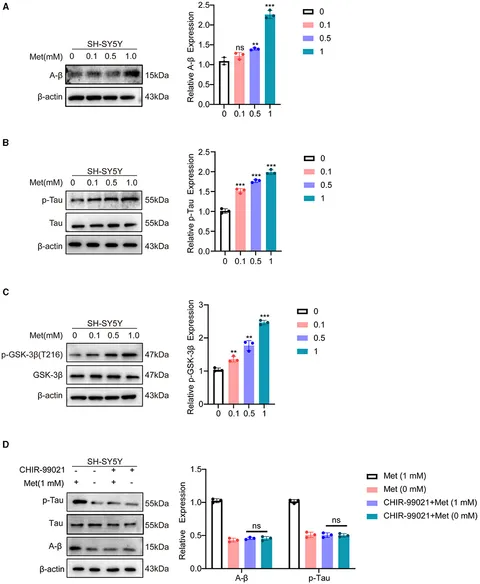 【初回限定】 identifies genetics Systems | Frontiers methionine high a as ニンテンドー3DS/2DS