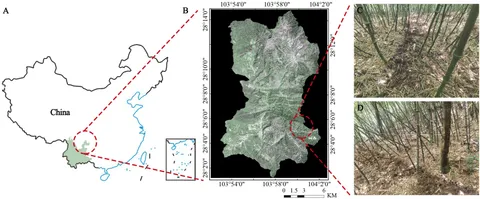 Frontiers | Comparative study of urea-15N fate in pure