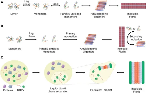 MoMCP1, a Cytochrome P450 Gene, Is Required for Alleviating