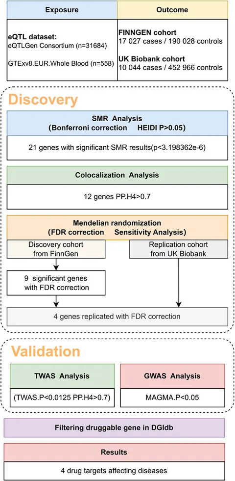 fgene-15-1385293-g001.jpg