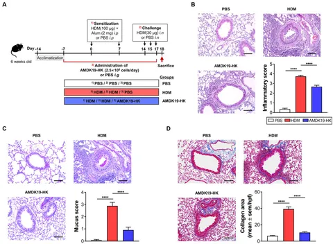 アラン2本セット STEVEN ALAN（スティーブンアラン） スラックス 13.5oz デニム イン