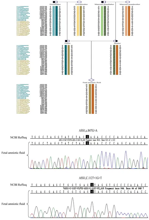 fgene-15-1389461-g010.jpg