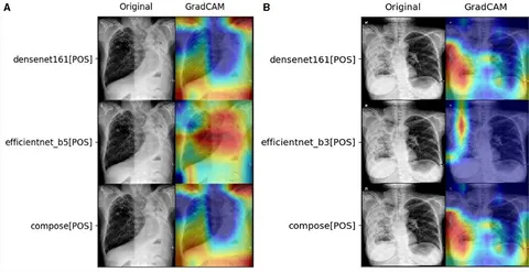 Frontiers | A robust ensemble deep learning framework for