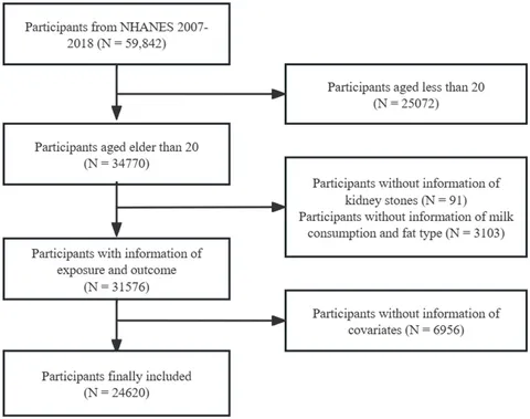 Frontiers | Association between milk consumption and kidney