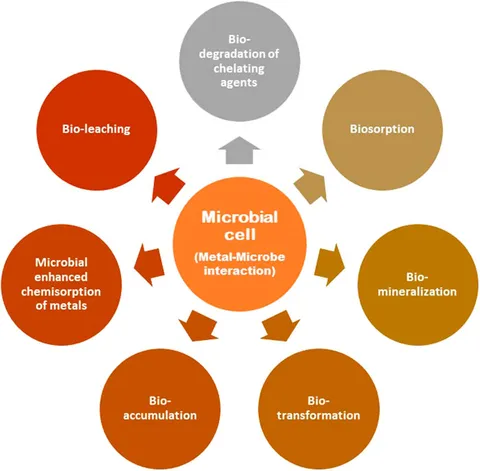 【数々のアワードを受賞】 Exploring | Frontiers bioremediation heavy for strategies トップス