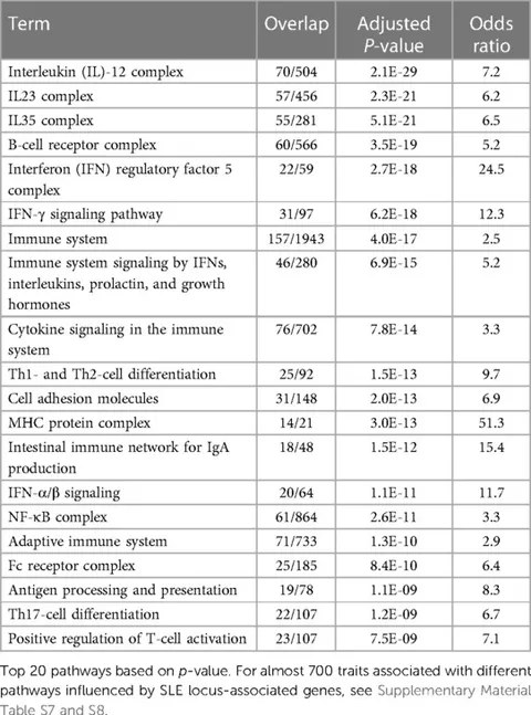 Frontiers | The 330 risk loci known for systemic lupus