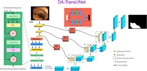 お得セット | Frontiers DA-TransUNet: channel and spatial integrating その他多肉植物