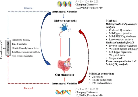 その他 Champ Amazon | フィールドチャンプ 26インチ6段折畳みマウンテン
