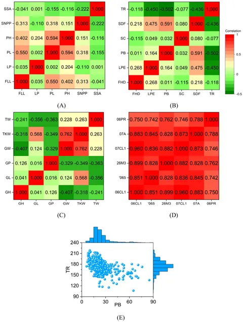 再入荷アイテム Frontiers | neural parallel multi-convolutional a PNNGS, その他