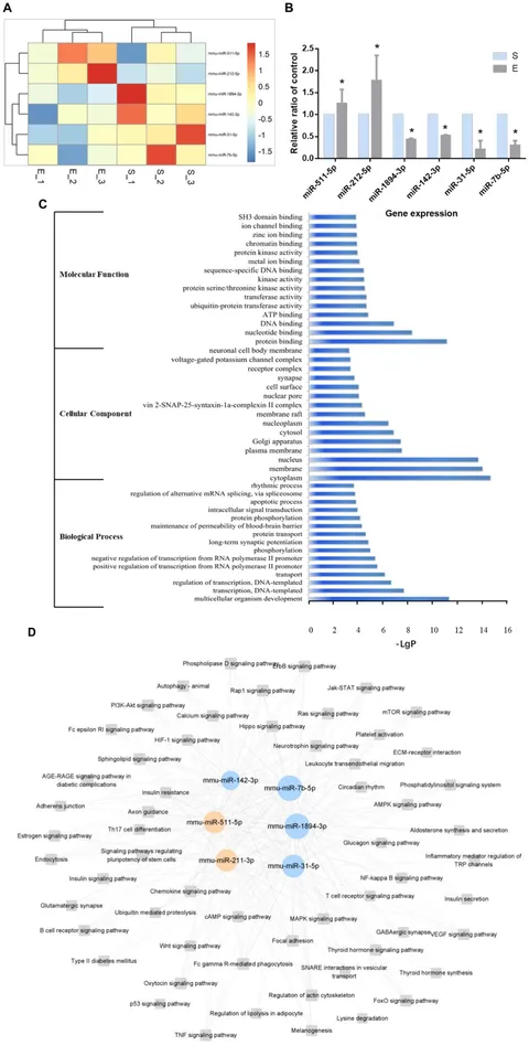 Frontiers | The effects of exercise on microRNA expression