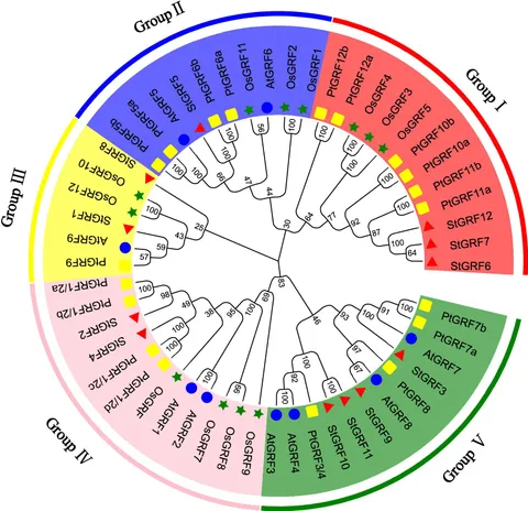 Biological and Catalytic Properties of Selenoproteins