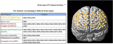 脳機能入門 = A Glimpse of Brain Functions : … 脳機能入門 = A Glimpse of Brain Functions : … 脳機能入門 = A