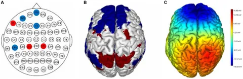 脳機能入門 = A Glimpse of Brain Functions : … 脳機能入門 = A Glimpse of Brain Functions : … 脳機能入門 = A