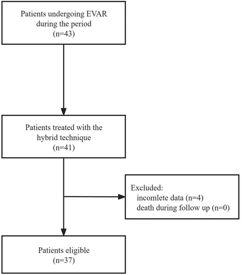 Frontiers | Feasibility of a modified hybrid glubran