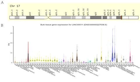 Frontiers | The emerging roles of LINC00511 in breast cancer