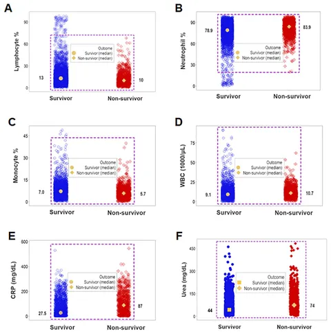 C＊C Near-Infrared-Absorbing B–N Lewis Pair-Functionalized