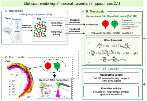 洋書 Computational Neurogenetic Modeling 978-0-387-48355-9.jpg