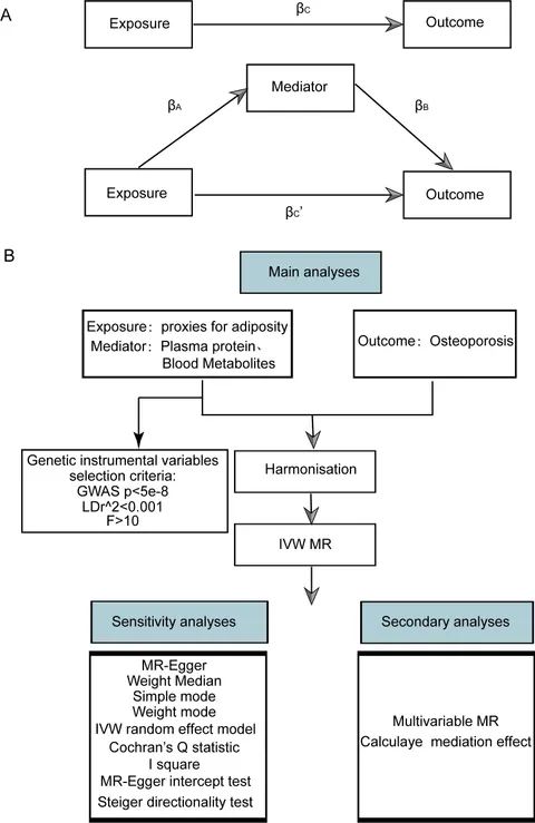 Frontiers | Causal inference study of plasma proteins and
