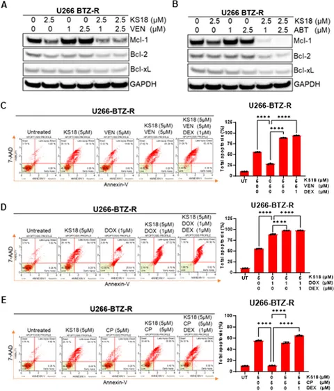 Frontiers | KS18, a Mcl-1 inhibitor, improves the