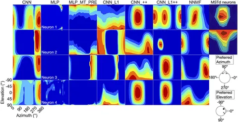 Frontiers | Accuracy optimized neural networks do not Frontiers | Accuracy optimized neural networks do not