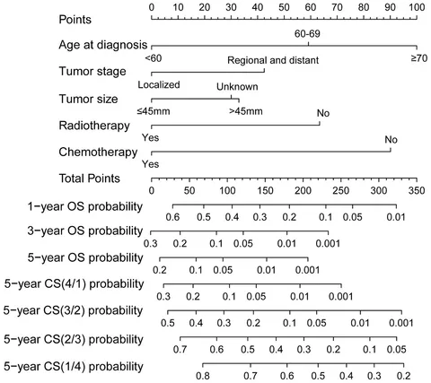 健康・医学 A Cancer Survivor's Almanac Immediate Subsequent lines of therapy after T-DXd in