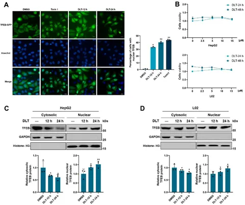 専用　ビスマス ピンヘッダー (L型) 1×6 (6P): ケーブル・コネクター 秋月電子通商