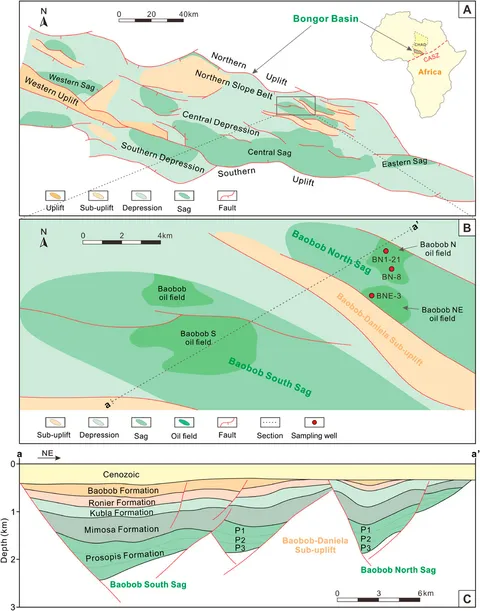 min＊ Variations of Bacterial Community Composition and Functions in an