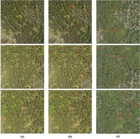 Frontiers | Early detection of pine wilt disease based on Frontiers | Early detection of pine wilt disease based on