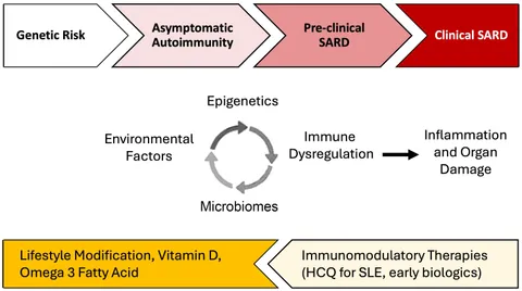 Frontiers | Environment and systemic autoimmune rheumatic