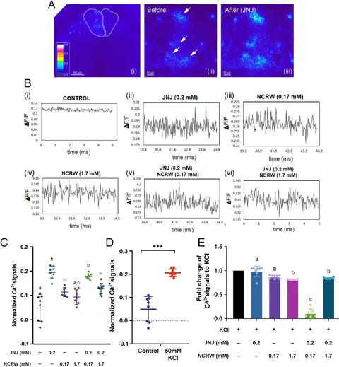Frontiers | GPR139 agonist and antagonist differentially