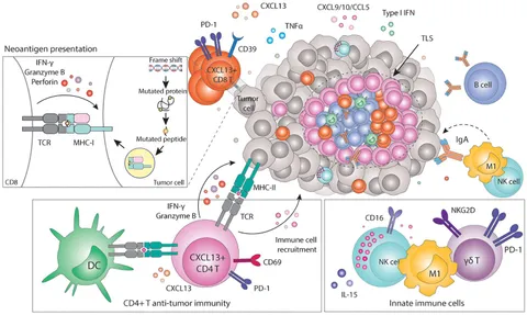 In Situ Versus Isolated Zinc Catalysts in the Selective