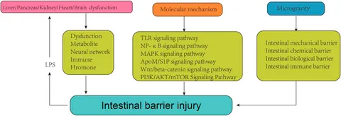 (o^^o)① 1:24 Toyota ProBox (NCP160V) 2014 | AOS- 051436 | Aoshima