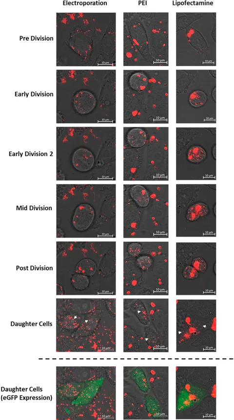 専用　イニシャルＭ K18イエローゴールド ダイヤモンド イニシャルペンダントM | 高
