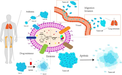 種類豊富な品揃え in RNA non-coding of Role | Frontiers exosomes the for 絵本・児童書