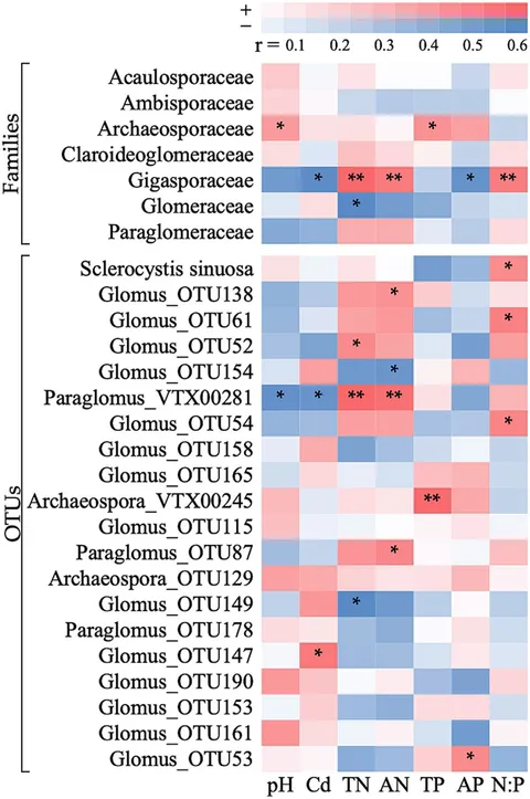 Frontiers | Soil amendments altered arbuscular mycorrhizal