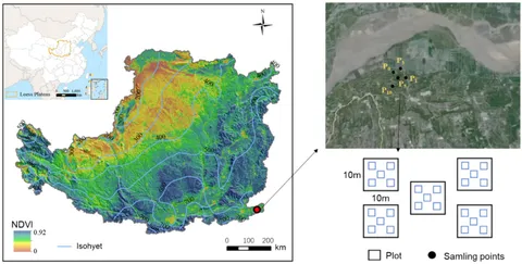 Frontiers | Effects of cropland-to-orchard conversion on