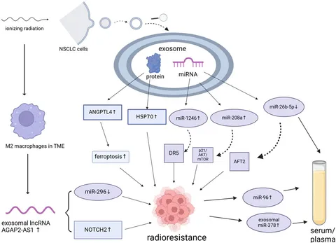 インパクト・ミー まとめ 01.jpg?_rc=878&type=img&fit=
