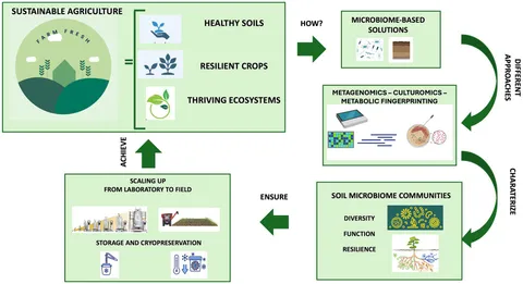 Frontiers | Culturomics- and metagenomics-based insights