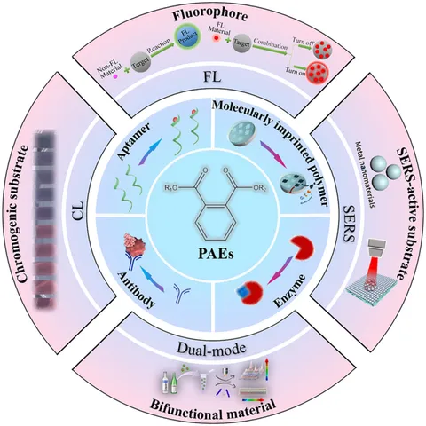 Frontiers | Recent advances of optical sensors for point-of