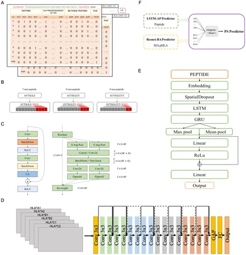 あり　TP M 02-03 ZX12R ZX12 TPS THROTTLE POSITION SENSOR PRIMARY MAIN