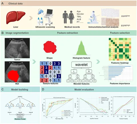 公式ファッションブランド通販サイト Frontiers | Machine learning based ultrasomics noninvasive 米/穀物