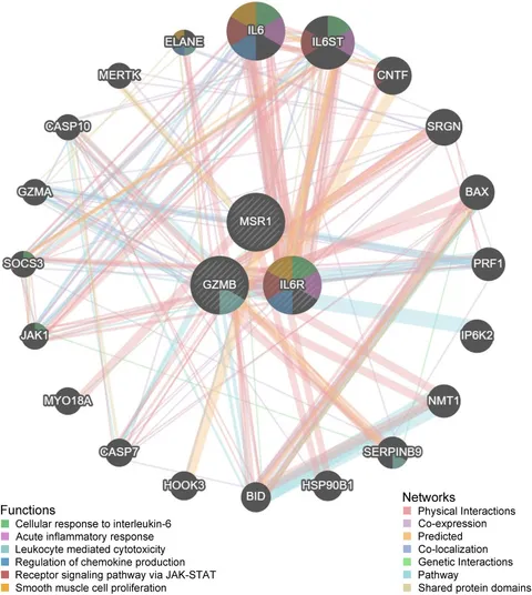 Frontiers | Elucidating macrophage scavenger receptor 1's Frontiers | Elucidating macrophage scavenger receptor 1's