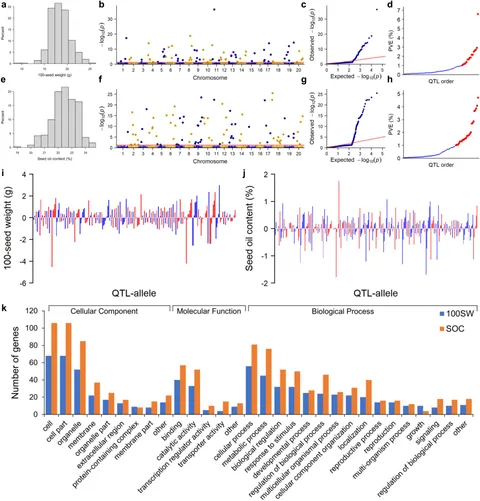 Frontiers | Identification of QTL-allele systems of seed
