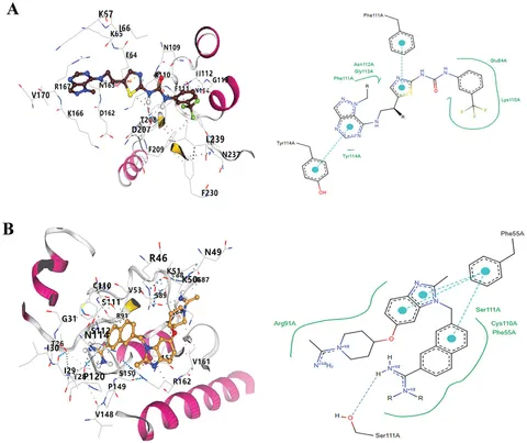 Frontiers | Subtractive genomics and comparative metabolic