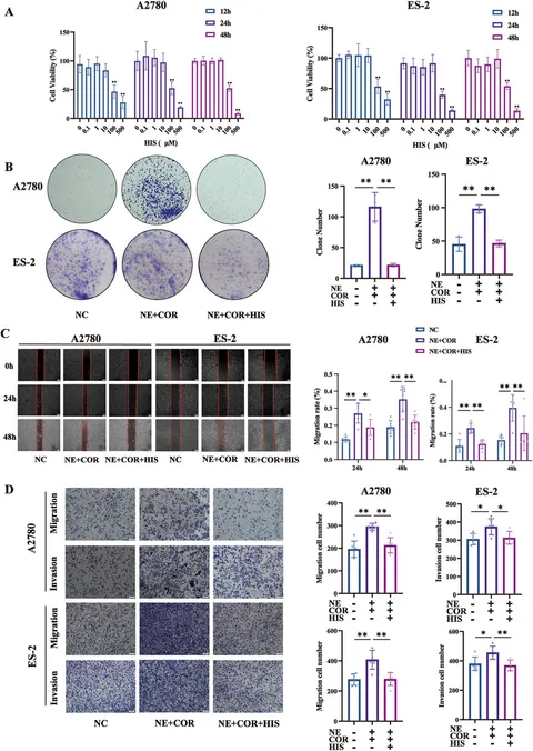 Frontiers | HDC downregulation induced by chronic stress