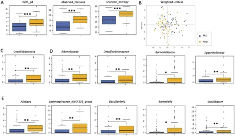 Chromosome-level genome of Neodon fuscus sheds light on the