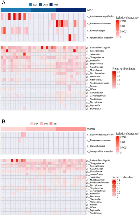 Frontiers | Extreme drought shapes the gut microbiota