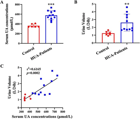 Frontiers | Uric acid reduces the expression of aquaporins