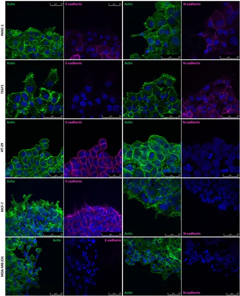 mm専用ページ Performance analysis of the ultra high performance concrete